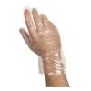 Valugards Econo Poly, Poly Disposable Gloves, Poly, M, 10000 PK, Clear 303363107